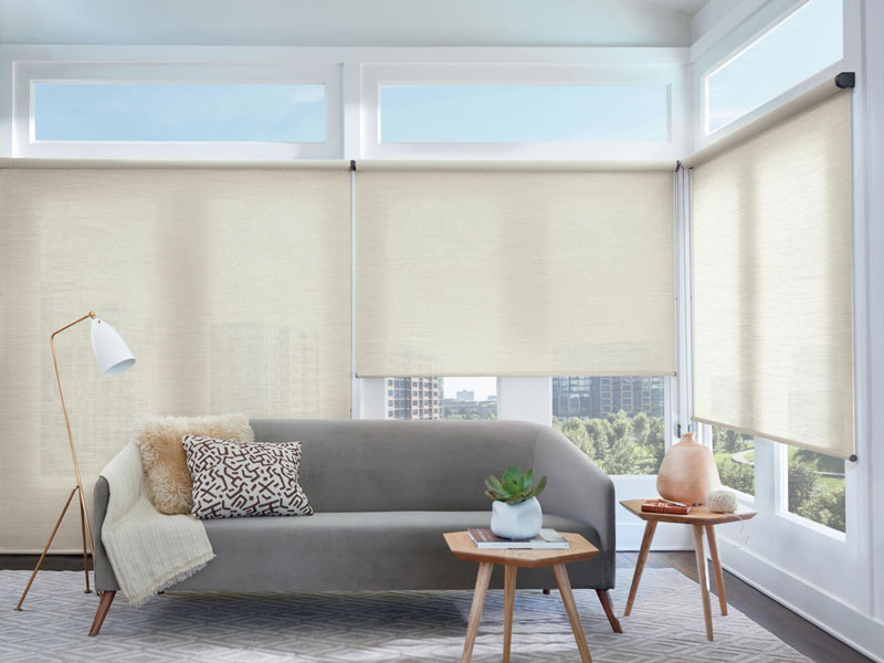 cream shades and gray couch