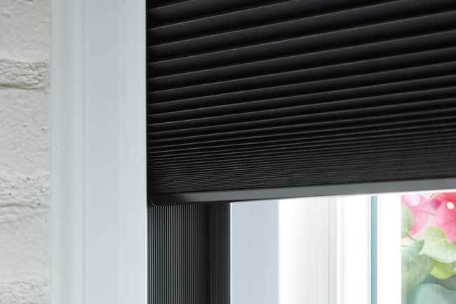 blackout shades